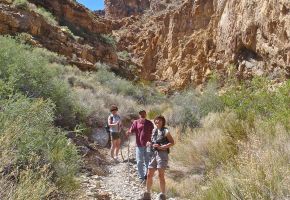 Kathy, Dave, and Candance, we hike.jpg