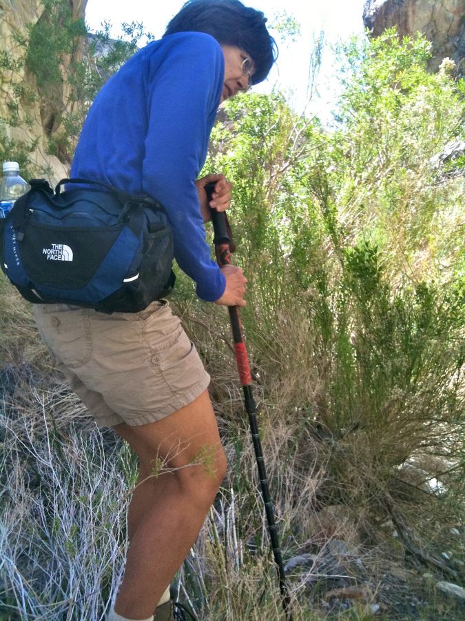 Kathy limps back from Exploring Surprise Canyon 395.jpg