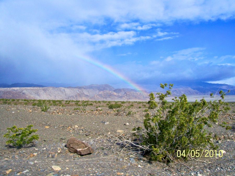 Rainbow in the Morning 020.jpg