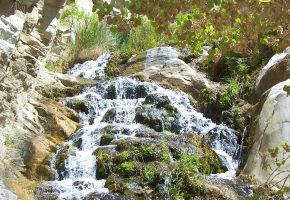 Water Fall in Surprise Canyon 326.jpg