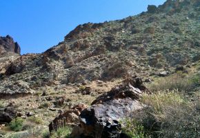 Exploring Titus Canyon 869.jpg