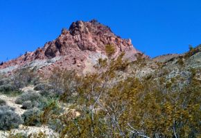 Exploring Titus Canyon 871.jpg