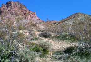 Exploring Titus Canyon 872.jpg