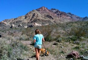 Exploring Titus Canyon 876.jpg