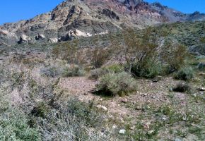 Exploring Titus Canyon 879.jpg