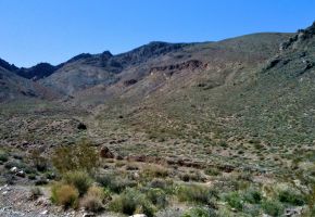 Exploring Titus Canyon 882.jpg