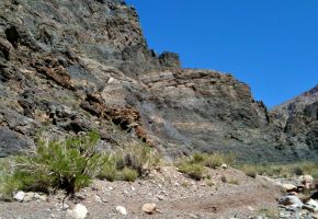 Exploring Titus Canyon 895.jpg