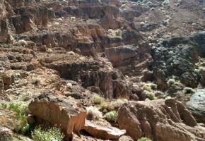 Exploring Titus Canyon 926.jpg