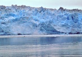 Hubbard Glacier calvin.jpg