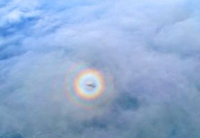 Mt McKinley Fly-by,  shadow of airplane on clouds.jpg