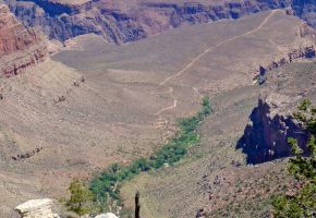 Indian Gardens Campground on Bright Angel Trl - 5 mi down.jpg