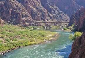 The mighty Colorado River at the bottom of the Grand Canyon.jpg