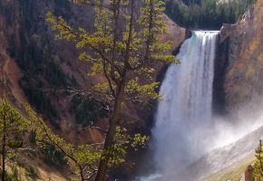 Yellowstone(1).jpg