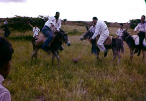 Club Miramar Rodeo 1956.jpg